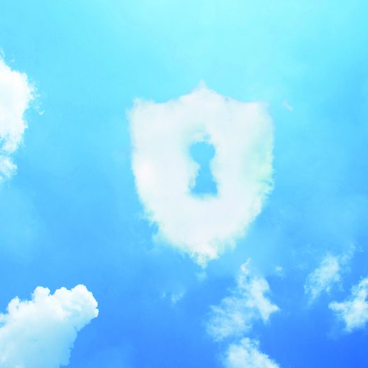 Security cloud