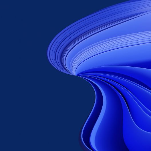 Windows 11